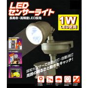 LEDセンサーライトM1W-SLED