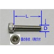 ステンレス6角穴付ボルト6(D)×100(L)mm(2本入)