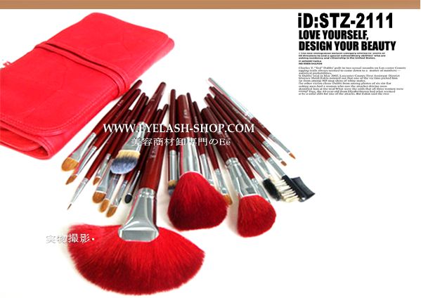 化粧ブラシセット、お洒落な専用収納ケース付き21本セット STZ-2111