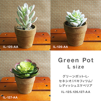 枯れない植物で作る手軽な癒し空間【グリーンポット・L-セネシオ/パキフィツム/レディッシュエケベリア】