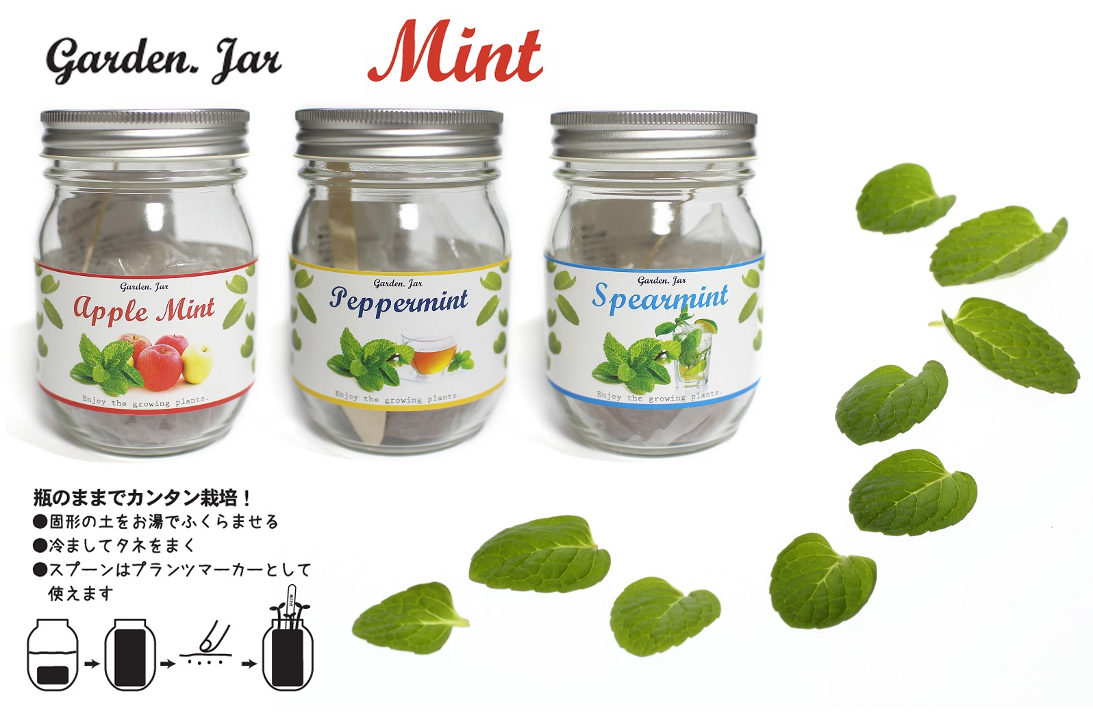 Garden Jar ガーデン・ジャー 3種類のミント