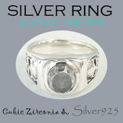 ビッグサイズ / 1087-2005 ◆ Silver925 シルバー リング スカル CZ