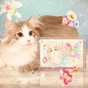 ポストカード ねこ「kyou wa donna hi?～水のなかで咲いたよ～」