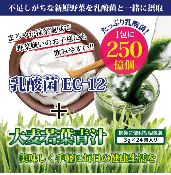 乳酸菌EC-12 プラス 大麦若葉青汁【日本製】