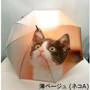 【雨傘】【長傘】ポンジー全面デジタルプリントキャット柄ジャンプ雨傘