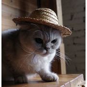 雑貨　ペット用品　犬　猫　猫帽子　帽子　麦わら帽　