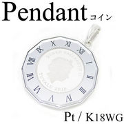1-1904-06034 RDK  ◆ Pt プラチナ / K18WG  ペンダント ツバルコイン ホース 1/25OZ