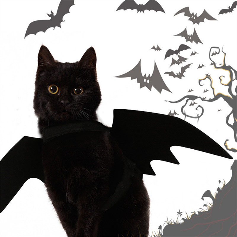 猫 犬服 コウモリの羽 ペットウェア ペット用品 ハロウィーン ペット変身 超萌え 人気 雑貨 Witm Kobe 問屋 仕入れ 卸 卸売の専門 仕入れならnetsea