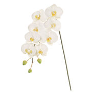 MAGIQ　ファレノジュリアーノ　M　ホワイト　アーティフィシャルフラワー　造花　お正月　胡蝶蘭