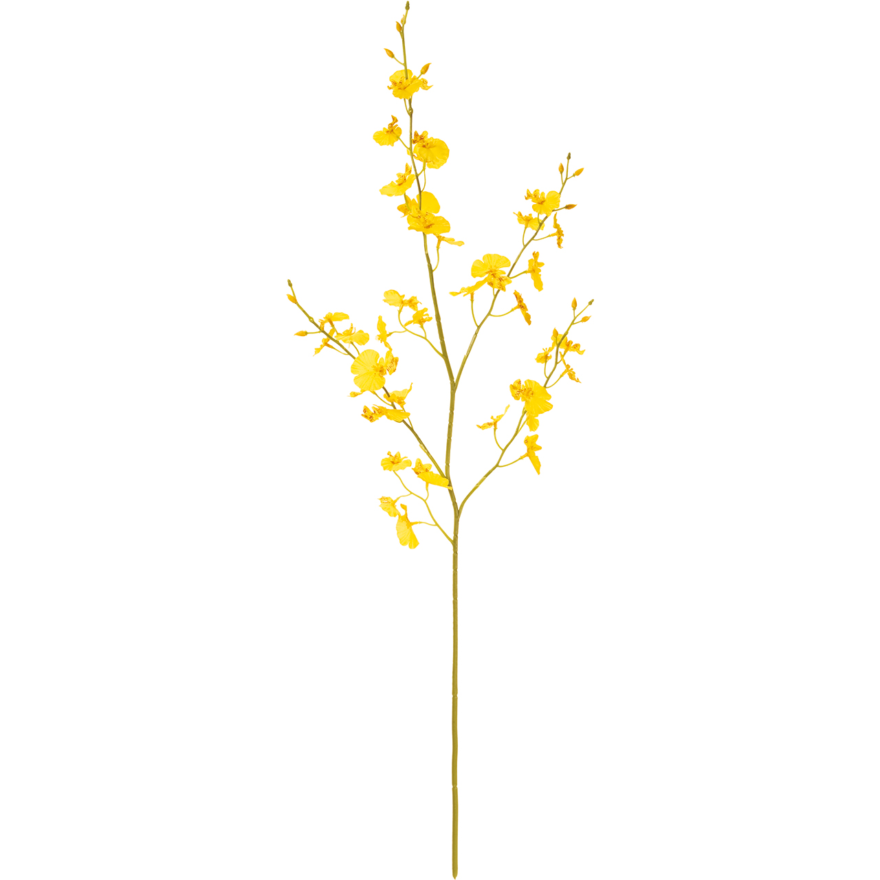 MAGIQ　フェアリーオンシジウム　ゴールドイエロー　アーティフィシャルフラワー　造花