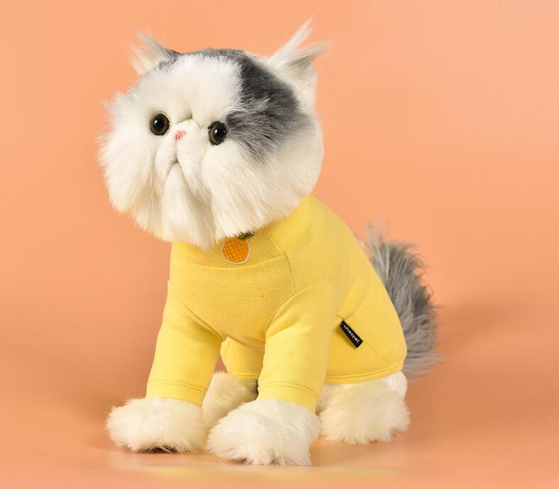 新発売 小型犬 中型犬 犬服 猫服 ペット服 ペット用品 5色 雑貨 香山 株式会社 問屋 仕入れ 卸 卸売の専門 仕入れならnetsea