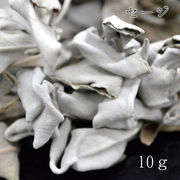 ホワイトセージ 10g 浄化用 ハーブ 葉 セージ 香り お清め 魔除け 厄除け 開運 集中力 ヒーリング