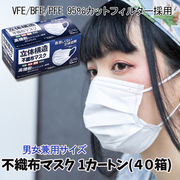 使い捨てマスク 1カートン(40箱) マスク 三層構造 普通サイズ 大人 花粉症対策 ますく mask