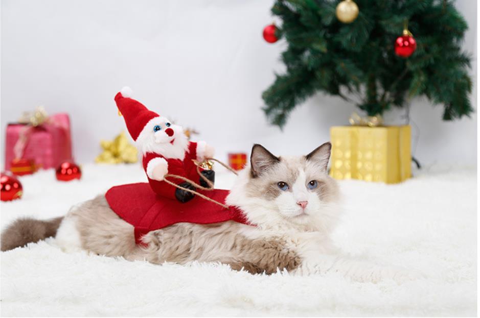 Christmas クリスマスコスチューム コスプレ ペット猫と犬のクリスマス服s Xl 雑貨 Ado 合同会社 問屋 仕入れ 卸 卸売の専門 仕入れならnetsea