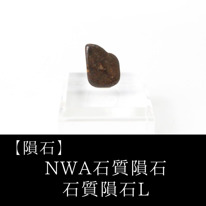 【隕石】NWA石質隕石 石質隕石L モロッコ産 原石 置物 NWAコンドライト 石質隕石
