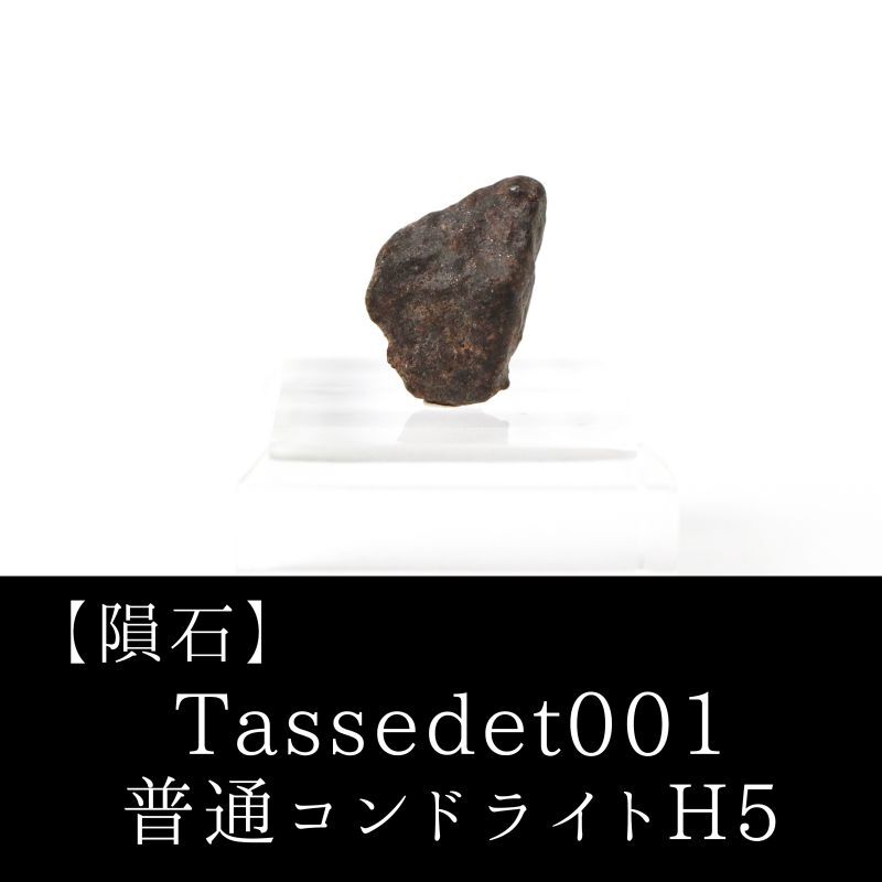 【隕石】Tassedet001 普通コンドライトH5 サハラ砂漠産 2006年 原石 置物
