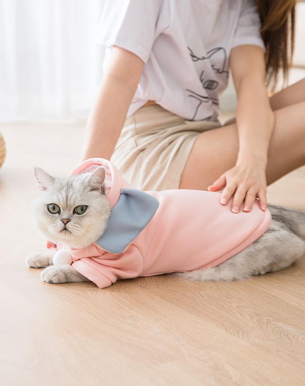 2020秋冬新作猫のセーター大きな耳かわいい象 猫の服 猫二本足の服子犬 