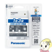 Panasonic パナソニック USB入出力 充電器 (充電器のみ) BQ-CC91