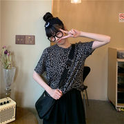 夏秋コーデにオススメ 韓国ファッション ラウンドネック ヒョウ柄 かっこいいハンサム オシャレ