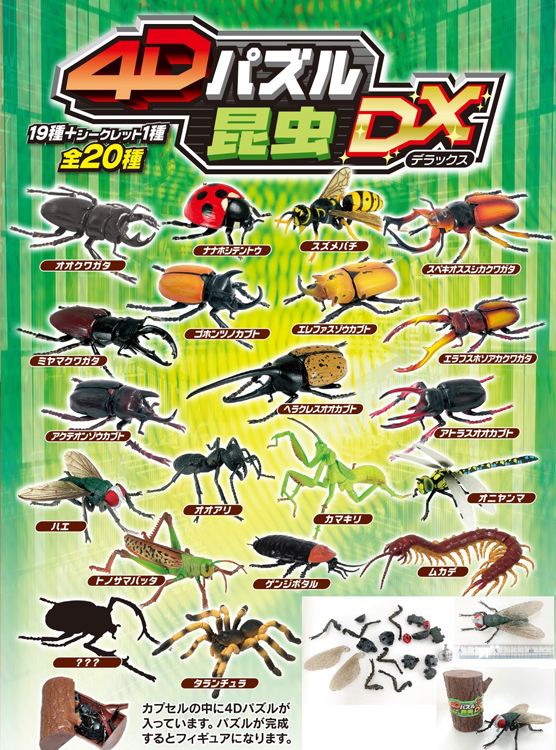 4Dパズル 昆虫DX 20個入りBOX - ジグソーパズル