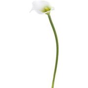 【造花】ナチュールカラーリリー　ホワイトグリーン