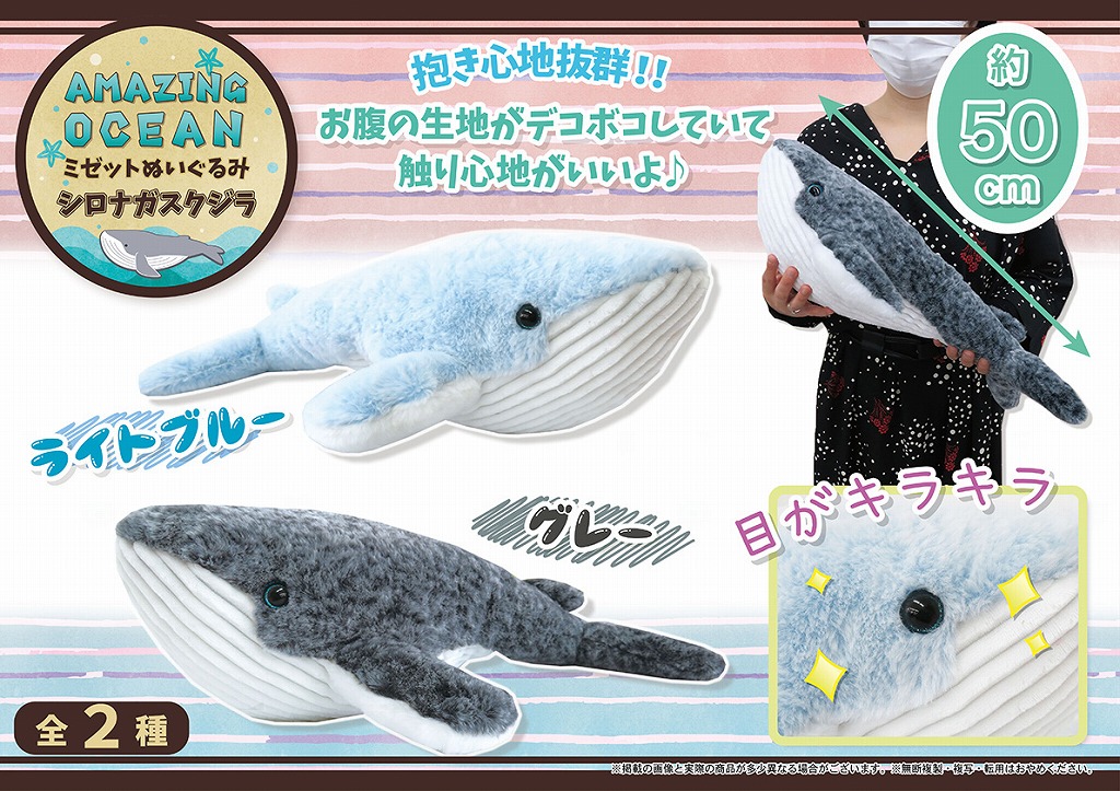 Aoミゼットぬいぐるみシロナガスクジラ 雑貨 株式会社 トコトコ 問屋 仕入れ 卸 卸売の専門 仕入れならnetsea
