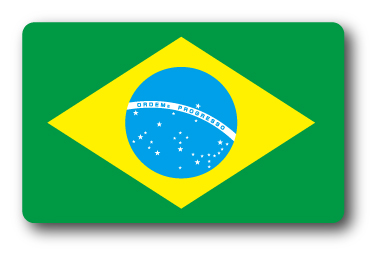 SK229 国旗ステッカー ブラジル BRAZIL 100円国旗 旅行 スーツケース 車 PC スマホ