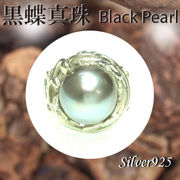 リング / 11-0097  ◆ Silver925 シルバー リング 透かし 黒蝶真珠 13号