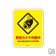 サインステッカー 防犯カメラ作動中 ミニ 再剥離 表示 識別 標識 ピクトサイン 室内 施設 店舗 MSGS019