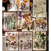 海外 大きめ 押し花 シール ステッカー クリア PET ◆全8種類◆手帳デコ コラージュ 素材 植物 花