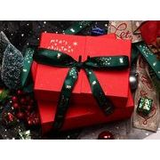 Christmas限定 ギフトボックス ラッピングボックス プレゼントボックス 　クリスマスボックス