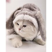 韓国の人気爆発  INSスタイル ペット 猫 服 秋冬 かわいい 暖かく保つ 四本足 猫 服 トレンド