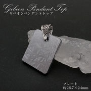 【一点物】 ギベオン プレート 隕石 gibeon シルバー ペンダントトップ 真鍮