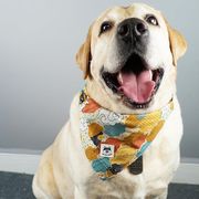 ペット犬唾液タオル三角スカーフかわいい漫画よだれかけ大きな犬中型および大型犬よだれかけ