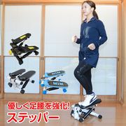 ステッパー de113