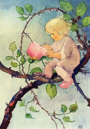 ポストカード アート ウェーバー「バラの妖精」名画 郵便はがき