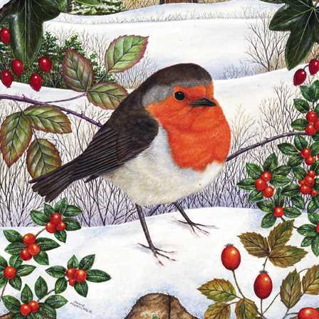 グリーティングカード クリスマス「一匹のコマドリ」メッセージカード 小鳥