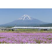 ポストカード カラー写真 日本風景シリーズ「新幹線と富士山」観光地 名所 メッセージカード