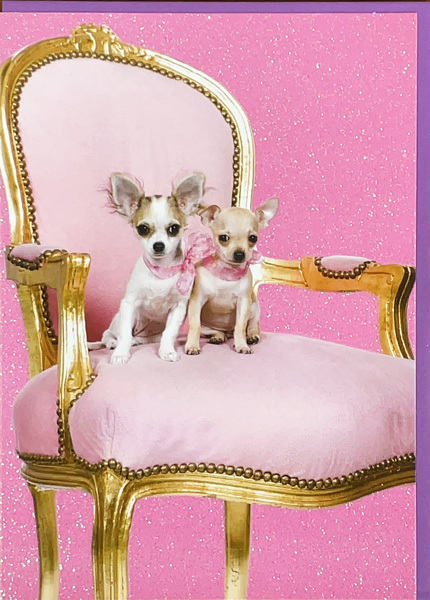 グリーティングカード 多目的 TRACKSマジック「ピンクの椅子のチワワ」