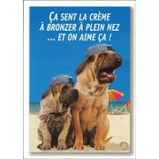 ポストカード サマーカード「ビーチの2匹の犬」カラ―写真 海 暑中見舞い