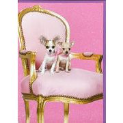 グリーティングカード 多目的 TRACKSマジック「ピンクの椅子のチワワ」