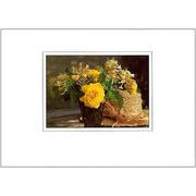 グリーティングカード 多目的 B&Bフラワーシリーズ「黄色のバラ」花柄