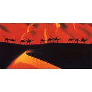 ロングポストカード カラー写真 ミホル・マーティン「ニジェールの砂丘」メッセージカード