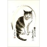 ポストカード 中浜稔「生きているものは美しい」猫 墨絵 アート ネコ