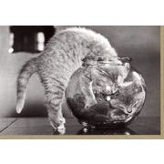 グリーティングカード 多目的 モノクロ写真「金魚鉢に入る猫」フォト