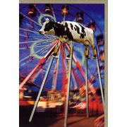 グリーティングカード 多目的 ウシシリーズ「CARNIVAL COW」牛 カラー写真