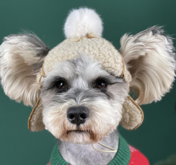 【秋冬新作】小型犬服★超可愛いペット用★犬用帽子★ペット用品★ネコ雑貨★ハロウィン