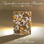 【 一点物 】 セイムチャン鉄隕石 12.2g ロシア産 IIE 鉄隕石 セイムチャン 原石 隕石 天然石