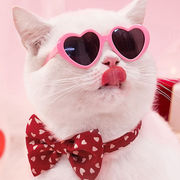新作  ペット用品   超可愛い 猫犬用メガネ ファッション 小物  ペット用サングラス    ネコ雑貨