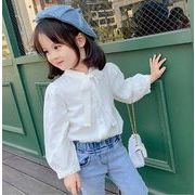 秋新作　女の子　シャツ　可愛い　韓国風　子供服　キッズ服　トップス　ホワイト　レース風